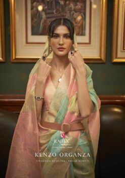 Rajtex Kenzo Organza Sequence Value Added Silk Sarees