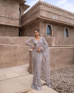 Sumshy Bollywood Style Grey Mono Net Embroidered Saree