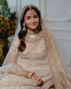 Sumshy New Fancy Embroidery Heavy Organza Saree