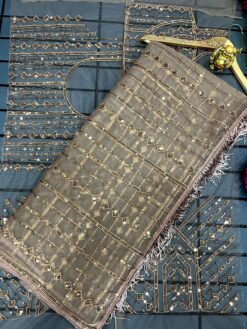 Sumshy Bollywood Style Mono Net Saree