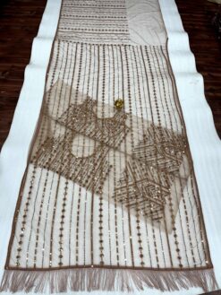 Sumshy Bollywood Style Mono Net Saree