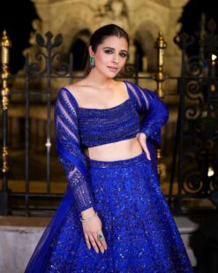 Sumshy Bollywood Style Butterfly Net Blue Lehenga Choli
