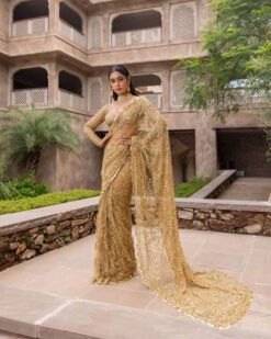 Sumshy Party Wear Heavy Mono Butterfly Net Saree