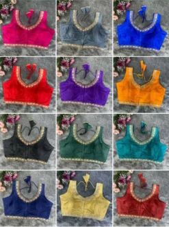 Priyal Vol 30 Velvet Hot Sexty Sleeve Less Blouse