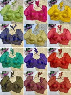 Priyal Vol 33 Designer Banarasi Silk Blouse