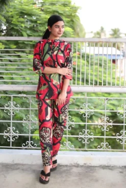 Rasmika Vol 3 Designer Printed Co-Ord Set