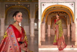 Rewaa Patola Paithani Upcomming Festival Saree Wholesale