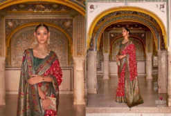 Rewaa Patola Paithani Upcomming Festival Saree Wholesale