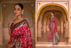 Rewaa Patola Paithani Upcomming Festival Saree Wholesale