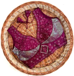 Shreya Kishori Silk Designer Readymade Blouse for Women