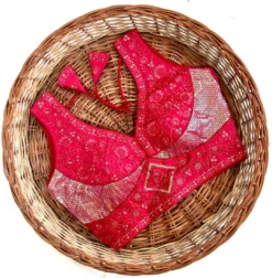 Shreya Kishori Silk Designer Readymade Blouse for Women