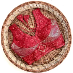 Shreya Kishori Silk Designer Readymade Blouse for Women