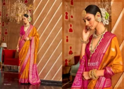 Trirath Hast Patola Silk Saree Wholesale