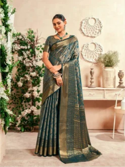 Rajpath Venkatgiri Silk Fancy Saree Collection