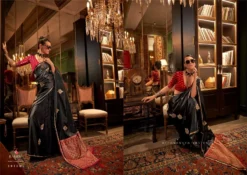 Rajtex Kanthkala Luxe Two Tone Party Saree Collection