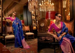 Rajtex Kanthkala Luxe Two Tone Party Saree Collection