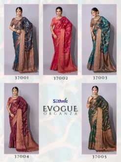 Sethnic Evogue Vol 1 Organza Saree Wholesale