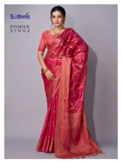 Sethnic Evogue Vol 1 Organza Saree Wholesale