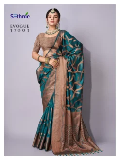 Sethnic Evogue Vol 1 Organza Saree Wholesale