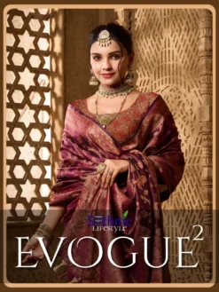 Sethnic Evogue Vol 2 Organza Saree Wholesale