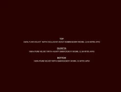 Belliza Winter Luxury Vol 2 Velvet Salwar Kameez