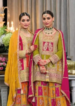Eba Rang Chinon Embroidered Designer Dress Online