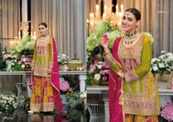 Eba Rang Chinon Embroidered Designer Dress Online