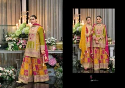 Eba Rang Chinon Embroidered Designer Dress Online