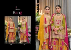 Eba Rang Chinon Embroidered Designer Dress Online