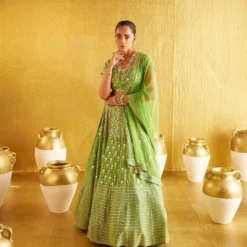 FD 353 Parrot Green Lehenga Choli Latest Design Under 2500