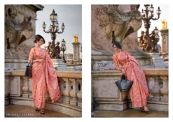 Rajtex Kaarsi Silk Handloom Organza Parsi Saree