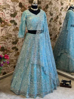 DKT Net Lehenga Choli Latest Design Collection
