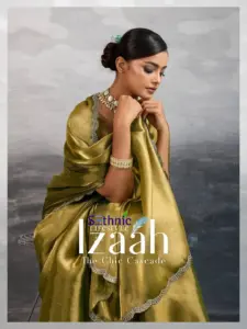 Sethnic Lifestyle Izaah Burberry Chiffon Festival Wear Sari 2025