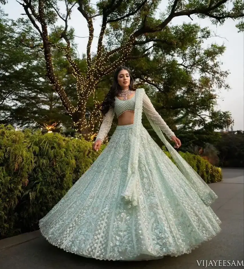 HCR 1098 Butterfly Soft Net Wedding Lehenga Choli