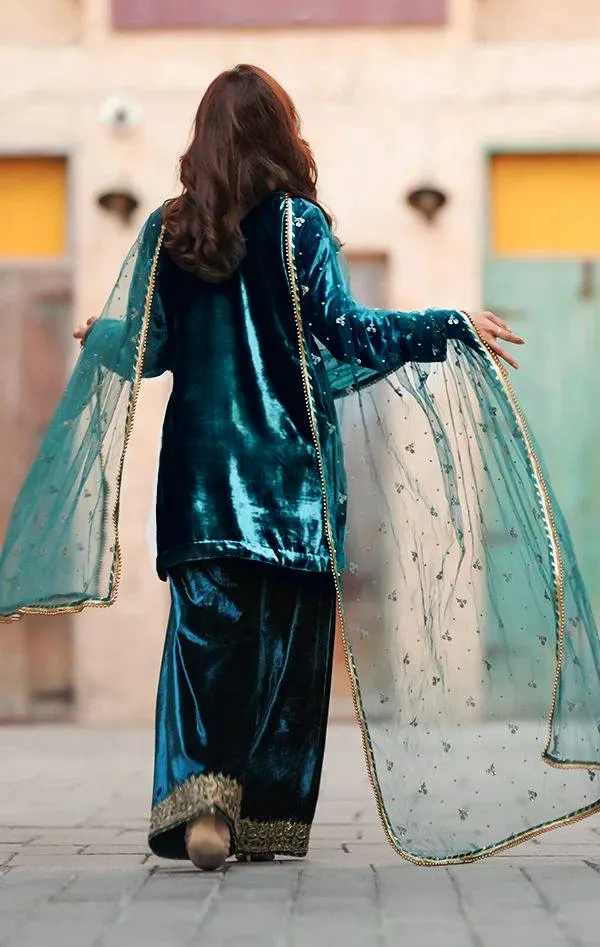 C585 1433 Velvet Embroidery Winter Readymade Dress