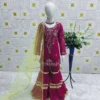 Baby 205 Georgette Sharara Suit Festival Kid Wear Wholesale