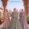 Launching Kb Super Hit 4110 Butterfly Twill Net Embroidered Anarkali Suit Collection Wholesale 2026