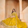 Dani Mehvish Vol 2 Organza Designer Lehenga Choli Collection Wholesale