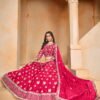 Latest Dani Mehvish Vol 2 Organza Designer Lehenga Choli Collection Wholesale 2026