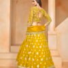 Latest Dani Mehvish Vol 2 Organza Designer Lehenga Choli Collection Wholesale 2026