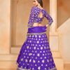 Latest Dani Mehvish Vol 2 Organza Designer Lehenga Choli Collection Wholesale 2026