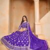 Latest Dani Mehvish Vol 2 Organza Designer Lehenga Choli Collection Wholesale 2026