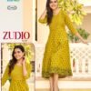 Latest Blue Hills Zudio Vol 3 Rayon Printed Anarkali Kurti Collection Wholesale 2026