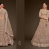 Latest Zeel The Shimmers Vol 1 Designer Soft Net Lehenga Choli Wholesale 2026