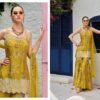 Latest Your Choice Ginni Vol 5 Designer Chinon Embroidered Suit Collection Wholesale 2026