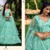 Launching Zeel Meera Designer Net Lehenga Choli Collection Wholesale 2026