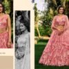 Launching Zeel Meera Designer Net Lehenga Choli Collection Wholesale 2026
