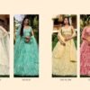 Launching Zeel Meera Designer Net Lehenga Choli Collection Wholesale 2026
