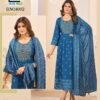 Beautiful Blue Hills Nithya Anarkali Rayon Foil Print Anarkali Gown And Dupatta Wholesale 2026