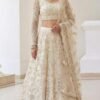 Beautiful Alizeh Bridal Heritage Colours 1083 Butterfly Net Designer Lehenga Choli Wholesale 2026